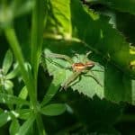 The Growth of Direct-to-Consumer Brands in 2025