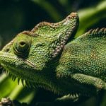 ADAS Features: Lane-Keeping, Adaptive Cruise, and More