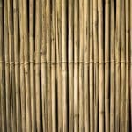 The Most Durable Gadgets for Outdoor Enthusiasts