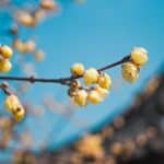 China’s EV Industry: How It’s Leading the World in 2025