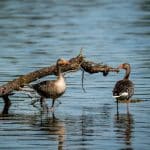 How to Transition Your Wardrobe from Spring to Summer