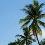 How to Plan a Vacation That’s Both Relaxing and Exciting