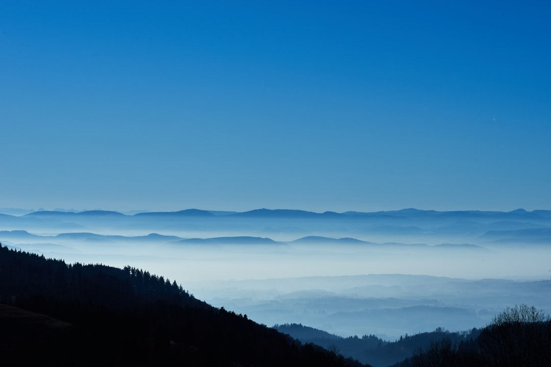 Cloud-Based Collaboration: Group Projects Made Easy
