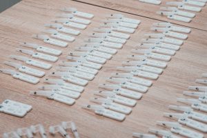 Equity in Assessment: Moving Beyond Standardized Testing